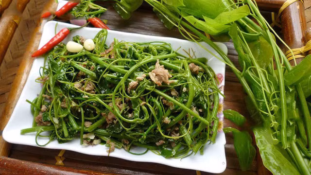 Rau bò khai có thể chế biến thành nhiều món như xào tỏi, xào với trứng, xào với thịt bò hay hải sản… Loại rau rừng này rất ngon và có nhiều tác dụng tốt cho sức khỏe.