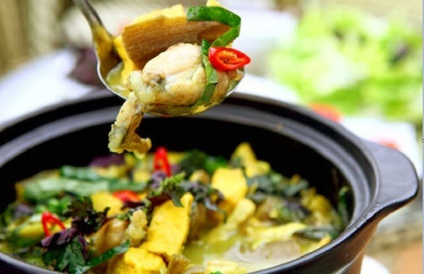 Nếu yêu thích món lẩu ếch bạn nên thưởng thức những món ăn này để có thể cảm nhận được hương vị khác nhau từ một loại nguyên liệu của món lẩu. Giá một nồi lẩu ếch khoảng 400.000 đồng tại các quán ở Phố Lò Đúc, Phó Đức Chính, Ngô Thì Nhậm…Ảnh: Internet.