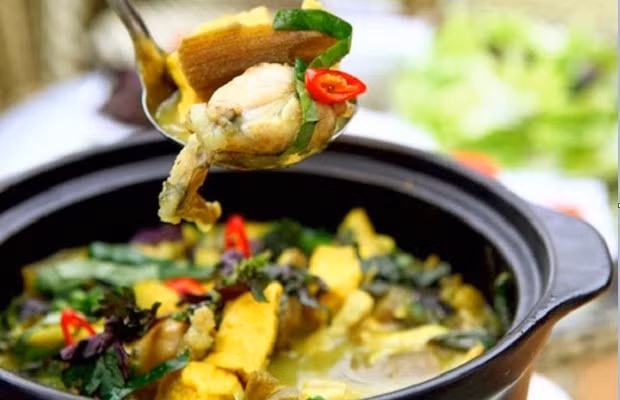 Nếu yêu thích món lẩu ếch bạn nên thưởng thức những món ăn này để có thể cảm nhận được hương vị khác nhau từ một loại nguyên liệu của món lẩu. Giá một nồi lẩu ếch khoảng 400.000 đồng tại các quán ở Phố Lò Đúc, Phó Đức Chính, Ngô Thì Nhậm…Ảnh: Internet.