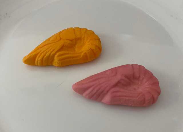 Hai chú tôm mashmallow này có tên là Candy Ebi.