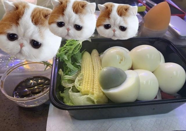 Một số nghiên cứu cũng chỉ ra rằng, nếu bạn ăn một quả trứng vào buổi sáng thì lượng thức ăn tiêu thụ trong ngày của bạn sẽ giảm ít nhất 330 calo.