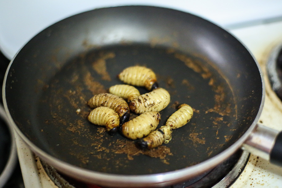 Nếu bạn đủ can đảm cho những con sâu béo nhung nhúc này vào miệng, đây chắc chắn sẽ là một trải nghiệm vô cùng khó quên.