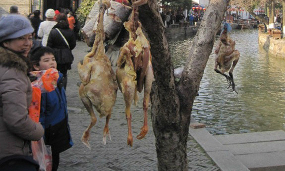 Cùng với óc khỉ, rùa hầm và lừa tùng xẻo, gà hong gió được xếp vào danh sách 4 món ăn rùng rợn trong văn hoá của người dân đất nước này.