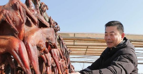 Một số còn chia sẻ: “Tôi cảm thấy như những con gà đang gào thét, chất vấn loài người tại sao lại làm điều độc ác này với chúng. Tôi đã không còn cảm thấy đói khi chứng kiến cảnh tượng tàn nhẫn ấy”. 