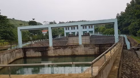 Người dân tại đây cho biết, từ ngày 9/10, Cty CP Đầu tư nước sạch sông Đà (Viwasupco) đã thuê khoảng 50 người dân để vớt dầu loang trên bề mặt nước. “Dầu này rất lạ, có mùi khét và không thể giặt sạch. Mỗi lần vớt xong là chúng tôi phải đốt sạch quần áo”, một người dân nói. Ảnh: Tiền Phong.