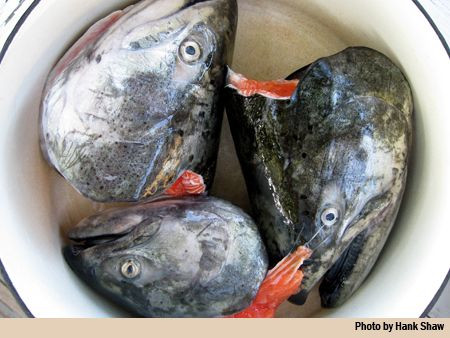 Nhiều người chỉ cần ngửi thấy mùi của Tepa đã thấy buồn nôn và chuyện ăn chúng là một “nhiệm vụ bất khả thi”.