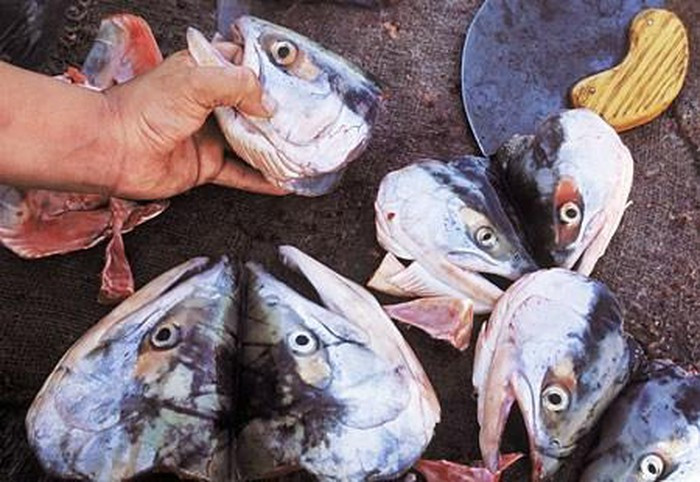 Theo phương pháp truyền thống, “đầu bếp” sẽ cắt đầu loại cá hồi vua thành những phần có kích cỡ bằng quả bóng, đầu cá được quấn vào cỏ dài (mọc dọc sông suối) hoặc cho vào thùng gỗ và chôn xuống hố, để khoảng 4 đến 6 tuần. Sau đó, chúng được đào lên để thưởng thức.