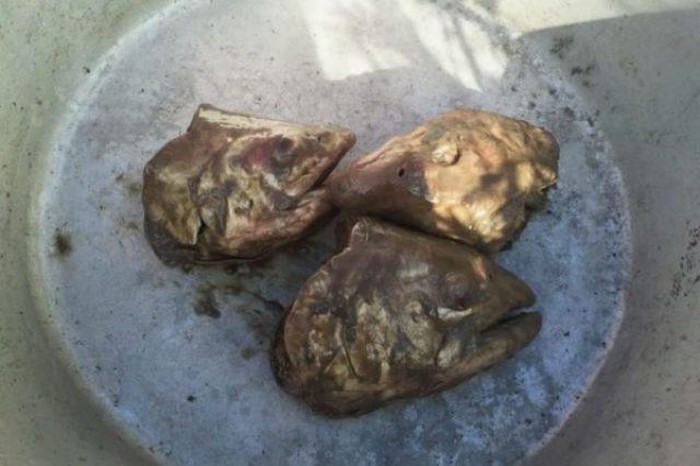 Ngoài mùi hương kinh dị, phương pháp chế biến có một không hai còn khiến cho xương cá mềm đến độ bạn có thể “thưởng thức” cùng với thịt cá đã bị phân hủy hoặc có thể dầm đầu cá thành một hỗn hợp.