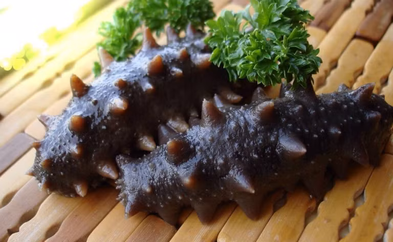 Hoảng hồn những ca mắc dị vật khiến vùng kín tổn thương nặng - Hình 2 Hoang hon nhung ca mac di vat khien vung kin ton thuong nang-Hinh-2