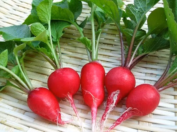 Nhung loai rau cu re beo vua chong ung thu, vua tot cho gan than-Hinh-2