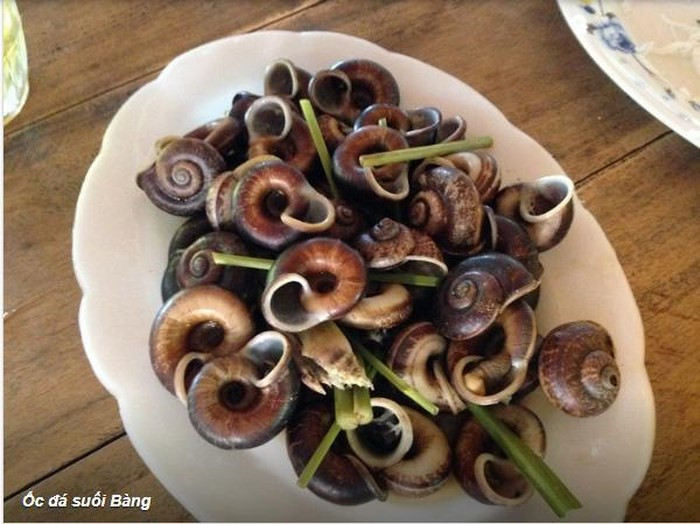 Khi thưởng thức bạn sẽ cảm nhận được thịt ốc có chút ngọt, giòn và đặc biệt không bị tanh bởi đã được làm giảm bớt bởi mùi thơm của các loại lá của núi rừng Tây Bắc hòa quyện cùng vị cay cay ngọt ngọt của nước chấm.