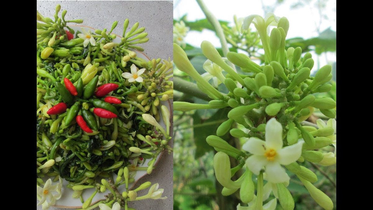 Tiếp đó, dùng tay vò hoa thật nát, bỏ ra bát tô trộn đều với ớt, muối, mì chính, ít hạt tiêu để khoảng 3 phút cho gia vị ngấm.