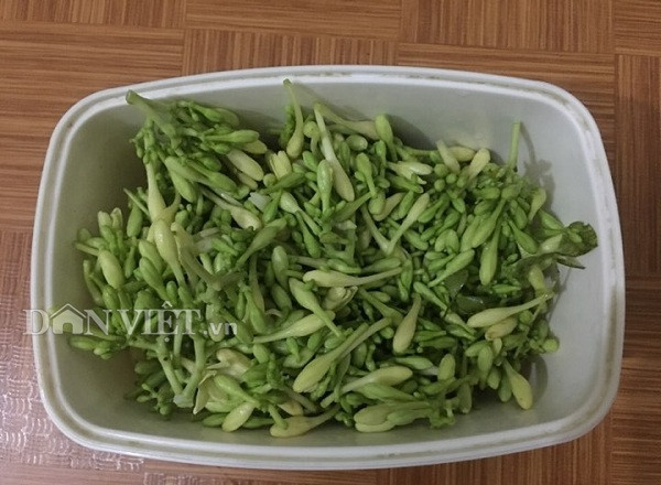 Hoa đu đủ hái về rửa sạch với nước, đổ nước suối vào nồi đun sôi rồi thả hoa vào luộc khoảng 30 – 35 phút cho hoa nhừ. Bước tiếp theo, vớt hoa ra rổ rồi rửa với nước sạch 1 lần nữa để làm giảm độ đắng.