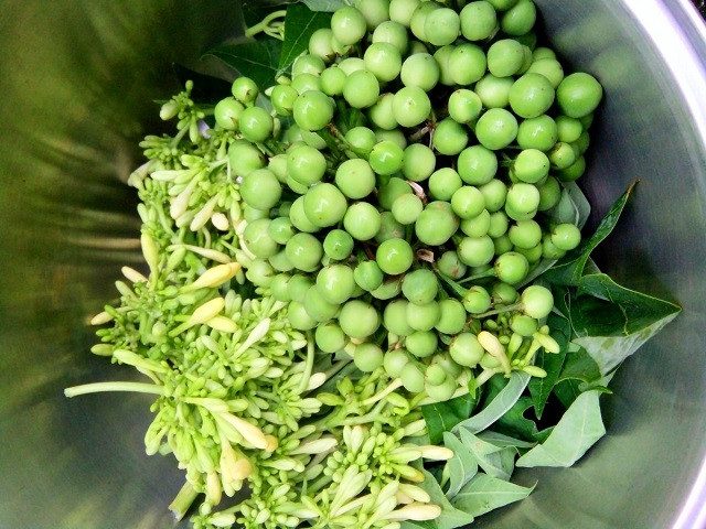 Món hoa đu đủ xào tỏi thường đem đến cho các thực khách đam mê ẩm thực dân tộc, dân dã. Hoa đu đủ đực thường được bán kèm quả cà rừng để làm nộm. Bạn có thể dễ dàng tìm mua được món đặc sản Tây Bắc này trong các phiên chợ của người Thái.