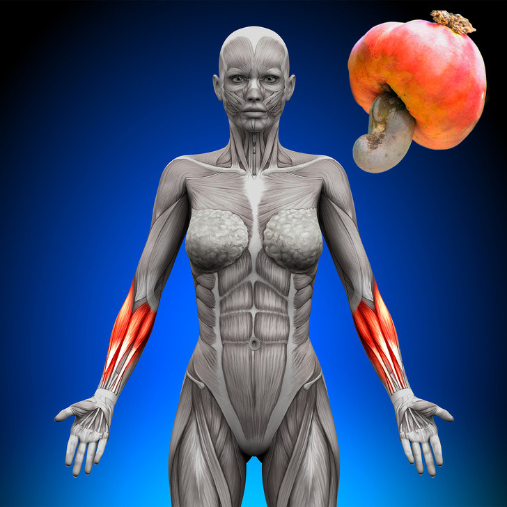 6. Hạt điều hỗ trợ chuyển động cơ bắp: Hạt điều là một nguồn khoáng chất tốt, đặc biệt là magiê, kali, phốt pho, kẽm và selen, và chúng có chứa sắt, mangan và đồng cần thiết cho sự chuyển động điện của tim và cơ bắp.