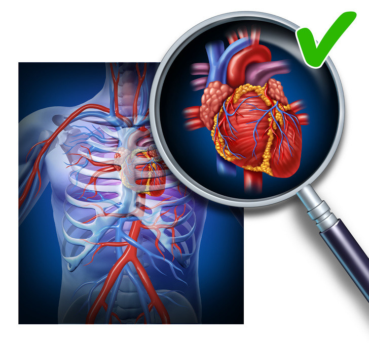 Duy trì sức khỏe của tim: Omega-3 và omega-6 có trong hạt chia giúp giảm cholesterol trong máu, giảm viêm và điều chỉnh huyết áp. Tất cả những điều này đều góp phần không nhỏ vào việc duy trì sức khỏe của tim.