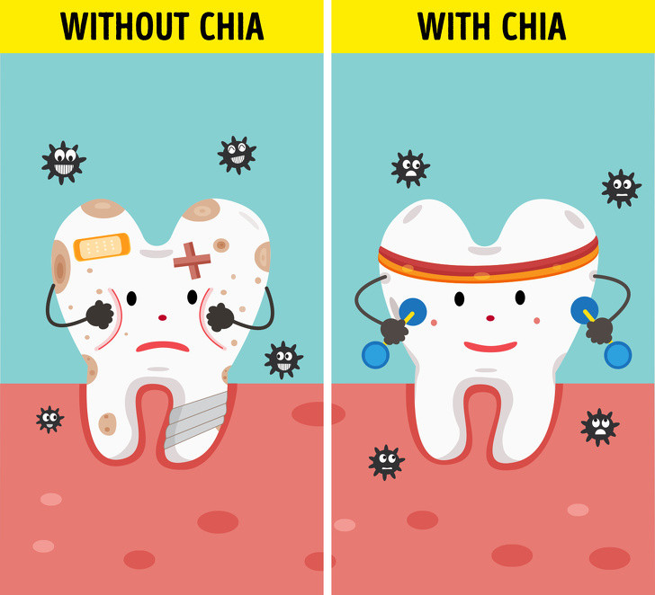 Giúp răng khỏe mạnh: Canxi vừa đóng vai trò giúp xương chắc khỏe, vừa duy trì tốt sức khỏe của răng miệng. Hơn nữa, là một chất dinh dưỡng cơ bản, boron có trong hạt chia hỗ trợ thúc đẩy chuyển hóa magie, photpho và mangan giúp giữ gìn răng chắc khỏe.