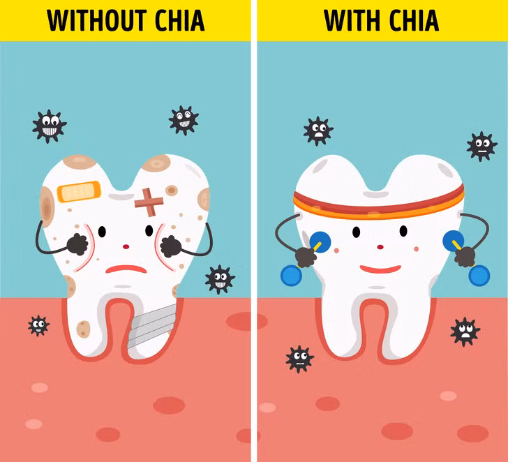 Giúp răng khỏe mạnh: Canxi vừa đóng vai trò giúp xương chắc khỏe, vừa duy trì tốt sức khỏe của răng miệng. Hơn nữa, là một chất dinh dưỡng cơ bản, boron có trong hạt chia hỗ trợ thúc đẩy chuyển hóa magie, photpho và mangan giúp giữ gìn răng chắc khỏe.