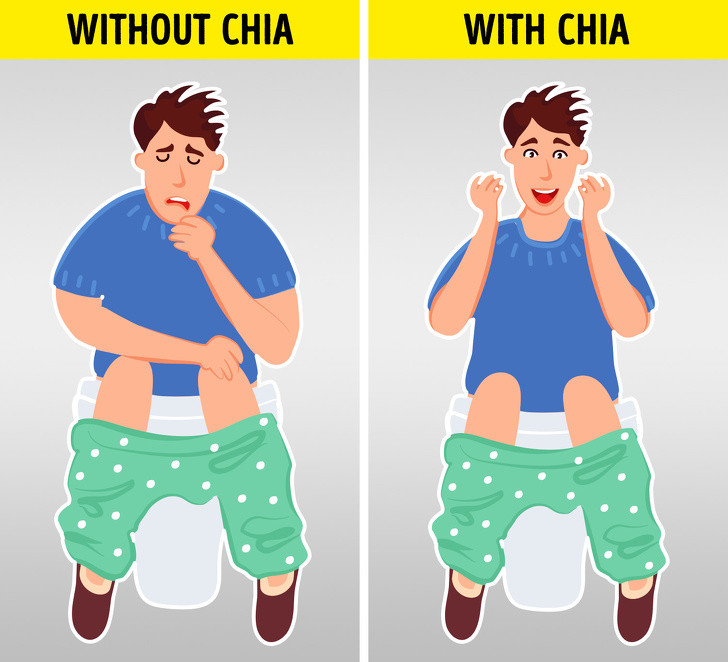 Giúp ngăn ngừa táo bón: Hạt chia rất giàu chất xơ, góp phần cải thiện tiêu hóa. Hơn nữa, chất xơ không hòa tan mà hạt chia có được sẽ trở thành một loại gel khi tiếp xúc với nước. Chất này giúp cải thiện nhu động ruột và ngăn ngừa táo bón.