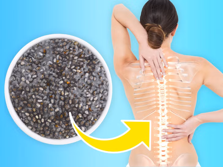 Thúc đẩy sức khỏe xương tốt hơn: Hạt Chia rất giàu khoáng chất, đặc biệt là canxi nên được biết đến với vai trò hỗ trợ sức khỏe của xương. 25g hạt chia chứa 157 mg canxi, nhiều hơn lượng canxi có trong 100 ml sữa.