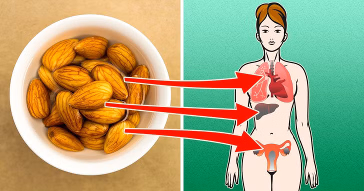 4 loi ich neu ban an hanh nhan moi ngay-Hinh-2