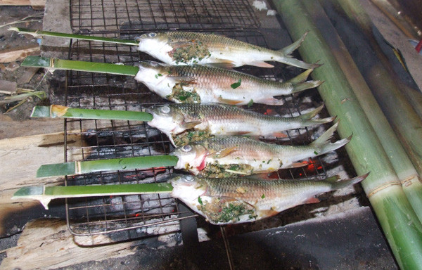 Cá mát sông Giăng: Cá mát không phải là giống cá lớn, thường chỉ bằng hai hoặc ba ngón tay người lớn, con “bự” cũng chỉ chừng 0,5 đến 0,8 kg. Hàng năm, tháng 8 âm lịch là vào mùa cá mát. Thịt cá mát rất lành, bổ, thơm ngon, hơi có vị đắng vì khi chế biến không vứt bỏ ruột (ruột cá rất sạch vì chủ yếu ăn thức ăn thực vật), mỡ béo ít xương và ngon nhất là phần đầu.