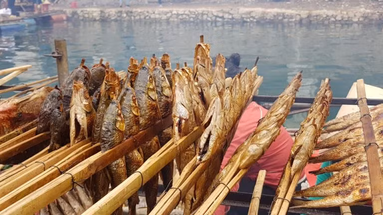 Đồng thời, trong thịt cá còn chứa nhiều omega 3 rất tốt cho sức khỏe giúp ngăn ngừa bệnh tim mạch, giảm mỡ trong gan,.. Chính nhờ giá trị dinh dưỡng cao mà cá lăng trở thành loại thực phẩm được rất nhiều người yêu thích hiện nay.