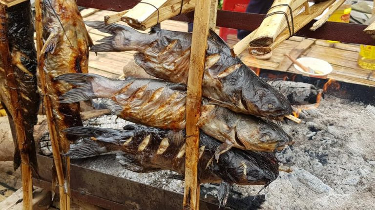 Cá lăng sông Đà có giá trị dinh dưỡng khá cao. Các nghiên cứu đã chỉ ra rằng, trong 100 gam thịt cá lăng có 112 kcal năng lượng, 19 gam protein và chỉ chứa 4 gam chất béo.