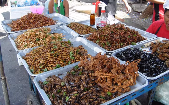 Côn trùng chiên: Côn trùng từ lâu đã trở thành món ngon độc đáo và rất phổ biến ở Thái Lan. Những con côn trùng được chiên giòn với màu vàng ươm hấp dẫn.