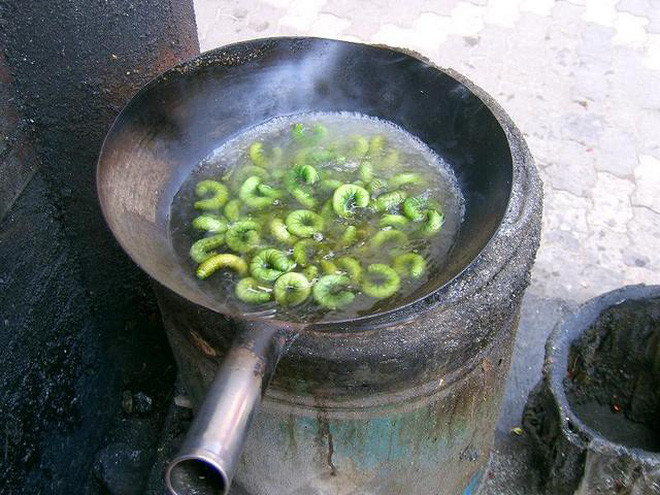 Các món ăn từ sâu xanh béo múp: Nhìn thấy món ăn này lần đầu tiên có lẽ bạn không nghĩ nguyên liệu chính lại là từ những con sâu. Thế nhưng, loài sâu xanh này lại là món ăn tiêu biểu cho tỉnh Giang Tô, nhất là ở thành phố Liên Vân Cảng.