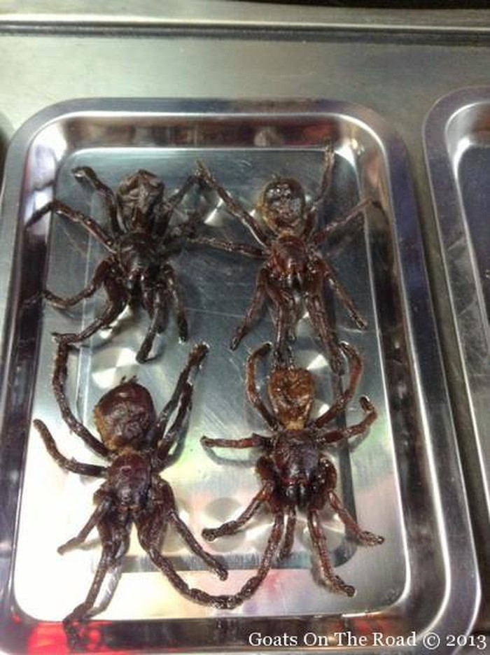 Nhện khổng lồ chiên: Những con nhện to đùng này đã được phát hiện ở Hàng Châu và quá lớn đến mức nhiều du khách thậm chí còn sợ chụp ảnh chúng. Sau khi bị bắt, nhện được rửa sạch và đem chiên giòn lên…