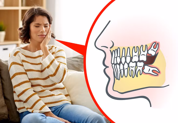 Răng khôn: Thời xưa, răng khôn vốn sinh ra để con người có thể nhai các loại thực phẩm cứng như rễ, lá, thịt và các loại hạt. Sau này, khi con người ăn thực phẩm chín, răng khôn không còn tác dụng nhai mà trở thành răng dự phòng.