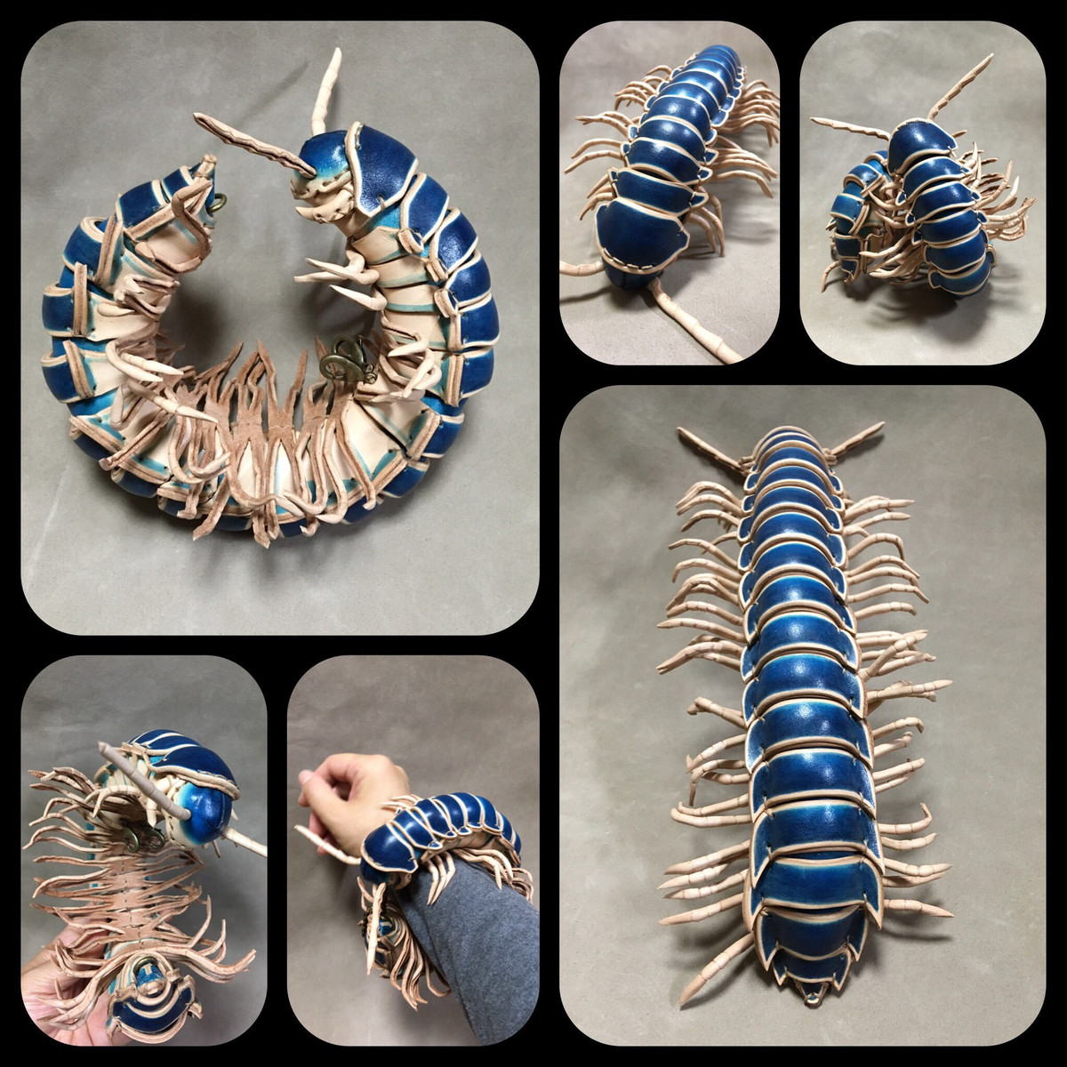 Họ cho rằng các con vật đáng yêu này đã vô tình nhận được sự ghét bỏ không đáng có. Hai nghệ sĩ muốn dùng sự sáng tạo và khả năng của mình để chứng minh nét đáng yêu trong chúng.