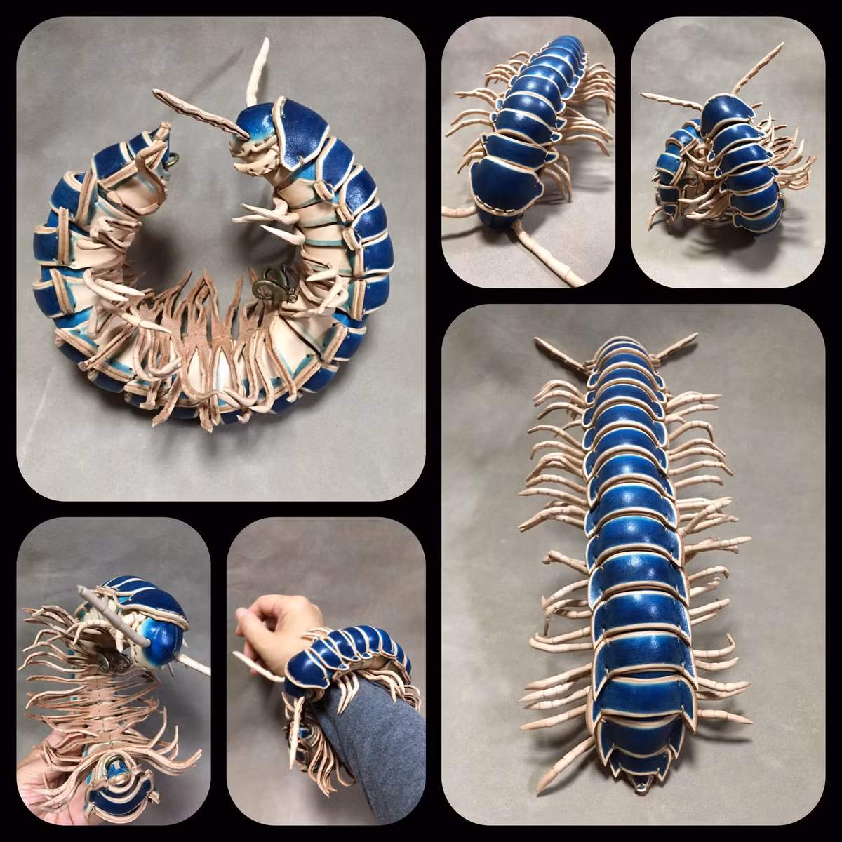 Họ cho rằng các con vật đáng yêu này đã vô tình nhận được sự ghét bỏ không đáng có. Hai nghệ sĩ muốn dùng sự sáng tạo và khả năng của mình để chứng minh nét đáng yêu trong chúng.