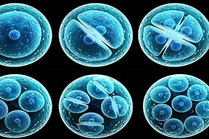 Chong lay cap phoi cua vo cho bo: Nhuc nha ruoc loat chong “can ba”...