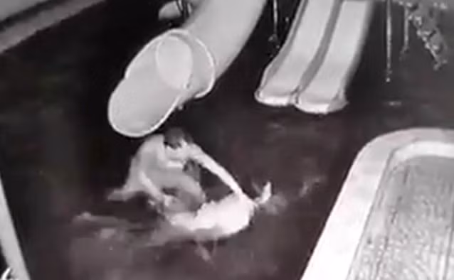 Chong lay cap phoi cua vo cho bo: Nhuc nha ruoc loat chong “can ba”...-Hinh-2