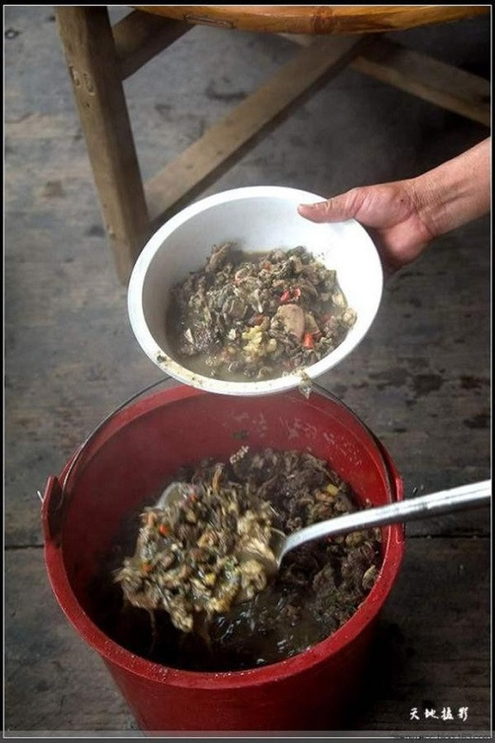 Trước khi giết mổ bò, người ta sẽ cho bò ăn no cỏ tươi kèm với thảo dược. Sau khi bò được mổ, những thức ăn chưa được tiêu hóa hết trong dạy và và ruột của bò sẽ được lấy ra, từ đó vắt lấy thứ chất lỏng đặc sệt. Thường chất dịch từ ruột non sẽ đắng hơn so với từ dạ dày.