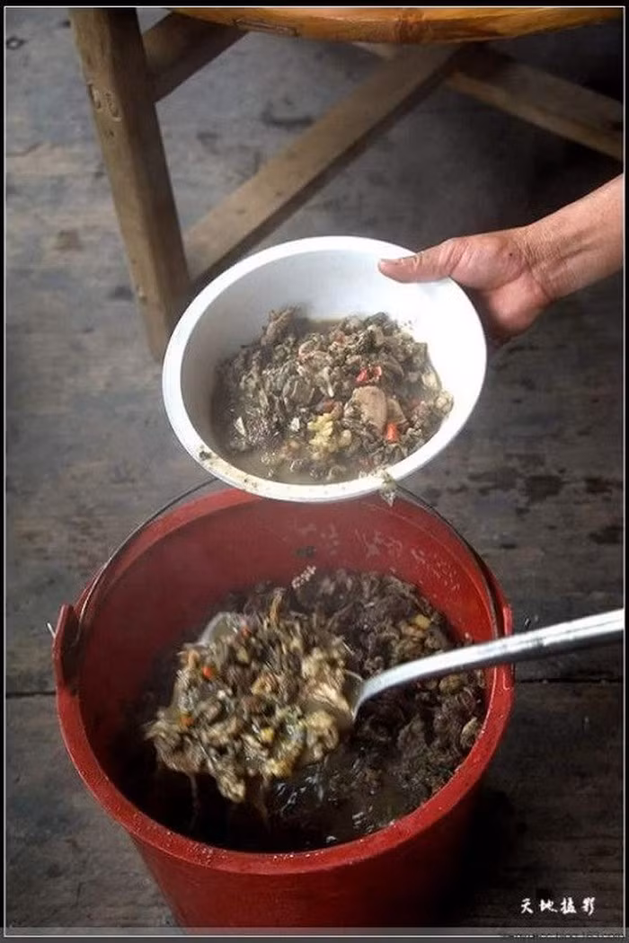 Trước khi giết mổ bò, người ta sẽ cho bò ăn no cỏ tươi kèm với thảo dược. Sau khi bò được mổ, những thức ăn chưa được tiêu hóa hết trong dạy và và ruột của bò sẽ được lấy ra, từ đó vắt lấy thứ chất lỏng đặc sệt. Thường chất dịch từ ruột non sẽ đắng hơn so với từ dạ dày.