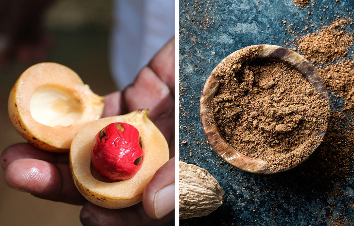 Hạt nhục đậu khấu: Cây nhục đậu khấu rất cao, khoảng 10-12 m. Phần quan trọng nhất của cây là những quả lớn trông giống như quả đào. Sau khi chín hoàn toàn, chúng vỡ làm đôi, lộ ra phần hạt được thu hoạch, sấy khô và nghiền thành bột.