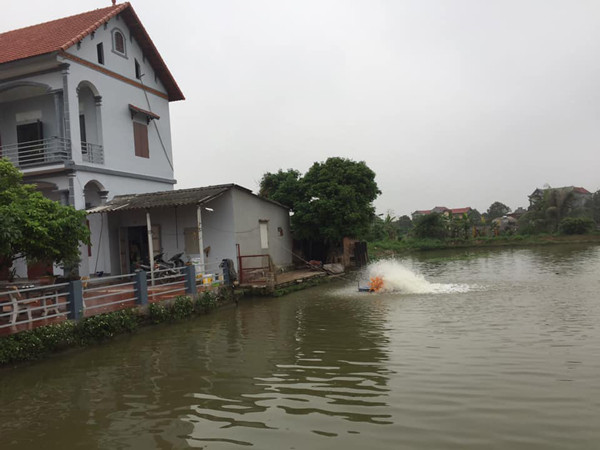 Nuoi con “nhan ha”, ngay cho an 1 lan, cu 8 thang lai “dut tui” hon 300 trieu