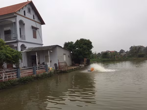 Nuoi con “nhan ha”, ngay cho an 1 lan, cu 8 thang lai “dut tui” hon 300 trieu