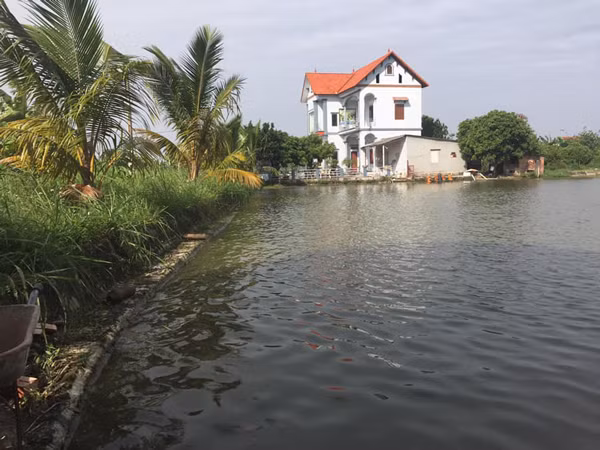 Nuoi con “nhan ha”, ngay cho an 1 lan, cu 8 thang lai “dut tui” hon 300 trieu-Hinh-2