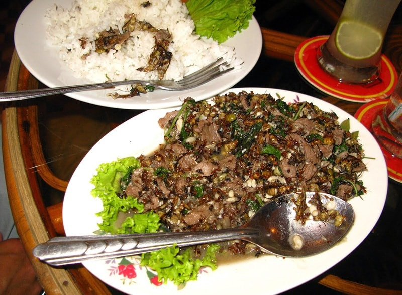 Nhiều quốc gia tại Nam Mỹ cũng dùng loài kiến này để chế biến ra nhiều món ăn địa phương hấp dẫn.