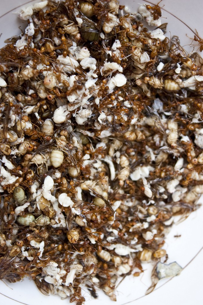 Khi thưởng thức món ăn này, du khách sẽ cảm nhận được vị ngọt mềm của thịt bò được tẩm ướp gia vị kỹ, vị chua nhẹ do dịch từ trong bụng kiến đỏ tiết ra cùng hương thơm hòa quyện giữa các hương liệu đặc trưng của người Khmer.