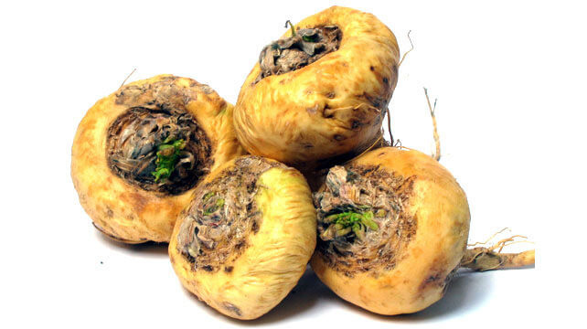 2. Maca: Siêu thực phẩm này được coi là sự thay thế của viagra, vì nó là một loại thuốc kích thích ham muốn "yêu" nổi tiếng, cải thiện ham muốn và làm tăng hiệu suất tình dục. Maca cũng rất giàu vitamin B, giúp tăng mức năng lượng và giảm căng thẳng.