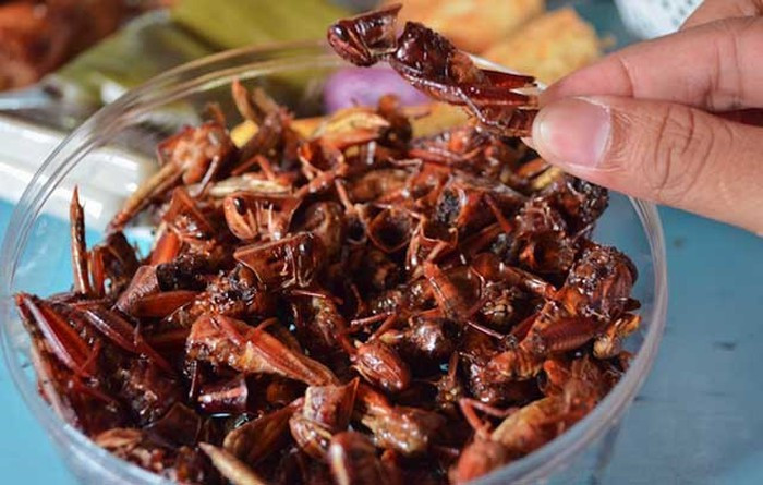 Belalang goreng (châu chấu chiên) là thực phẩm chính của vùng Gunung Kidul, miền trung Java. Mọi người có thể dễ dàng tìm thấy chúng được bày bán công khai trên vỉa hè, nhất là vào mùa mưa. Trước khi chiên, châu chấu sẽ được làm sạch, sau đó sẽ ướp gia vị trong 15 phút để cho ngấm, cuối cùng là chiên giòn.