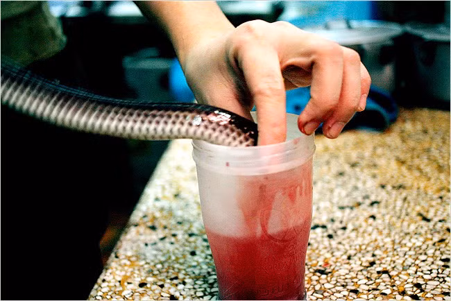 Máu rắn hổ mang: Không phải ai cũng có đủ can đảm thưởng thức một cốc máu rắn hổ mang. Người dân bản địa cho biết loại đồ uống này giúp tăng cường sinh lực cho nam giới. Ảnh: Internet. Video "Chế biến món ngon từ nấm đông cô". Nguồn: VTC.