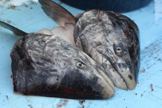 Theo phương pháp truyền thống, “đầu bếp” sẽ cắt đầu những con cá hồi vua thành những phần có kích cỡ bằng quả bóng, đầu cá được quấn vào cỏ dài (mọc dọc sông suối) hoặc cho vào thùng gỗ và chôn xuống hố, để khoảng 4 đến 6 tuần. Sau đó, chúng được đào lên để thưởng thức.