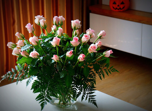 Hoa hồng chưng tết không chỉ đẹp mà hương thơm của nó còn có thể làm giảm trầm cảm, mang lại cảm giác hạnh phúc và dễ chịu.