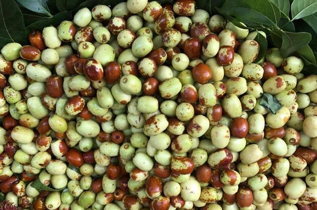 7 loai thuc pham vang cho nam gioi khoe manh, cuong trang-Hinh-3